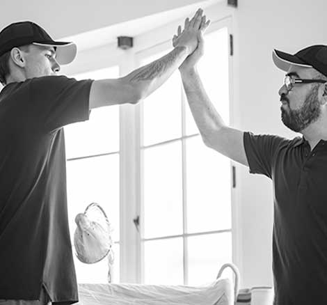 Professional Movers Professional Movers